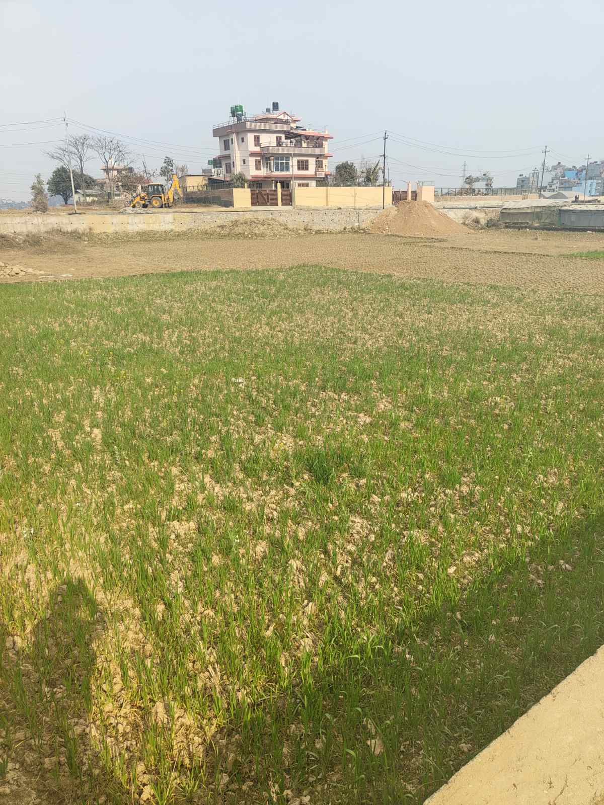 Kritipur Land for urgent Sell,35 lakh per aana negotiable Thumbnail