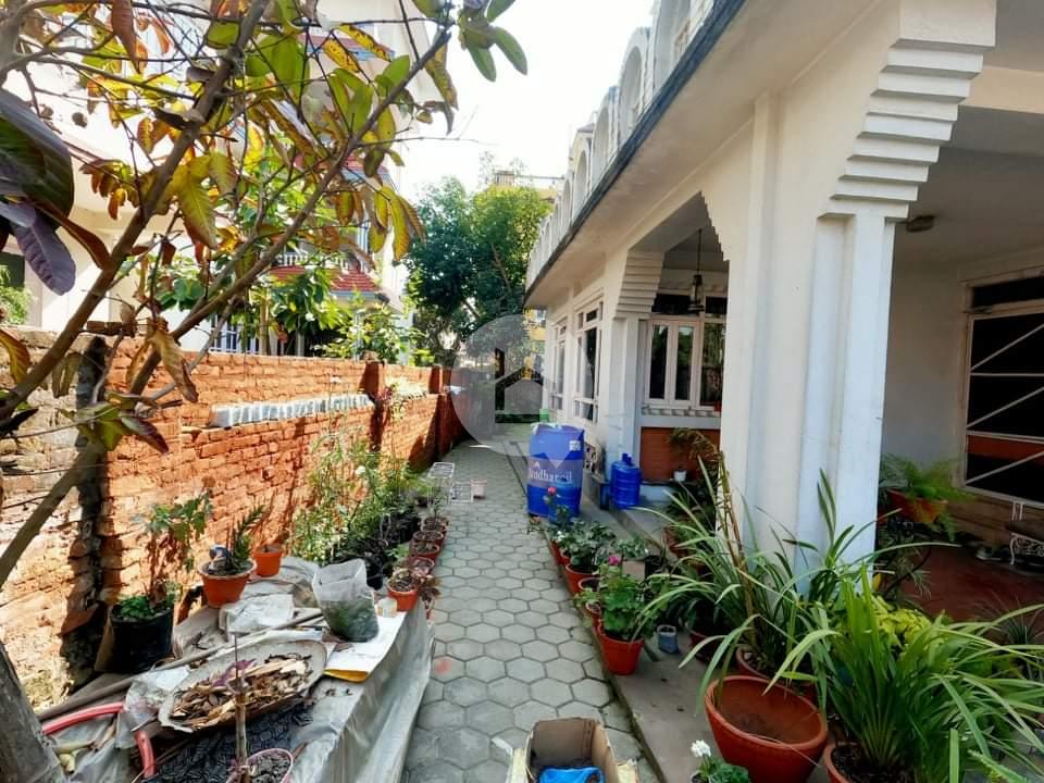 Residential Cum Commercial House : House for Sale in Jawalakhel, Lalitpur Image 12
