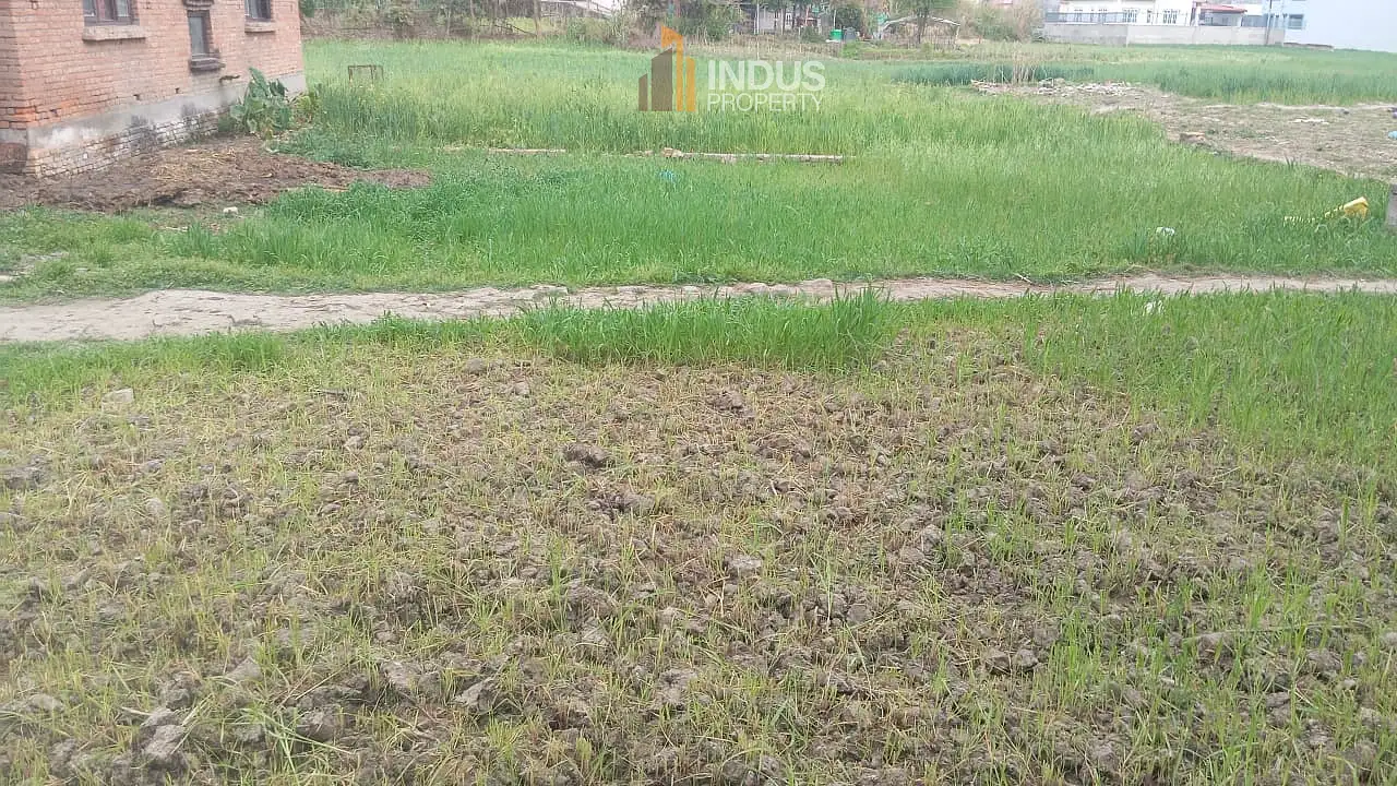 Land on sale at Bhojepokhari, Imadol Image 2