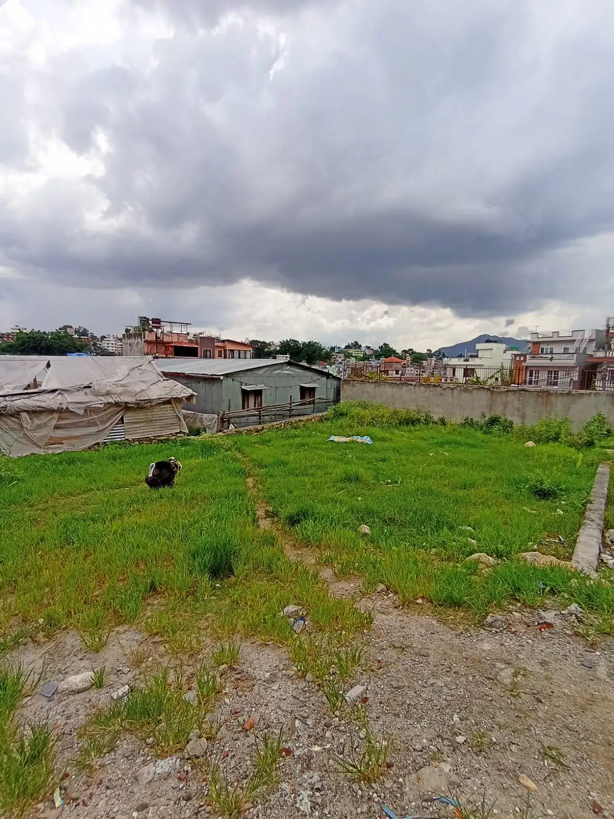 Land On Sale At  Budhanilkantha Thumbnail