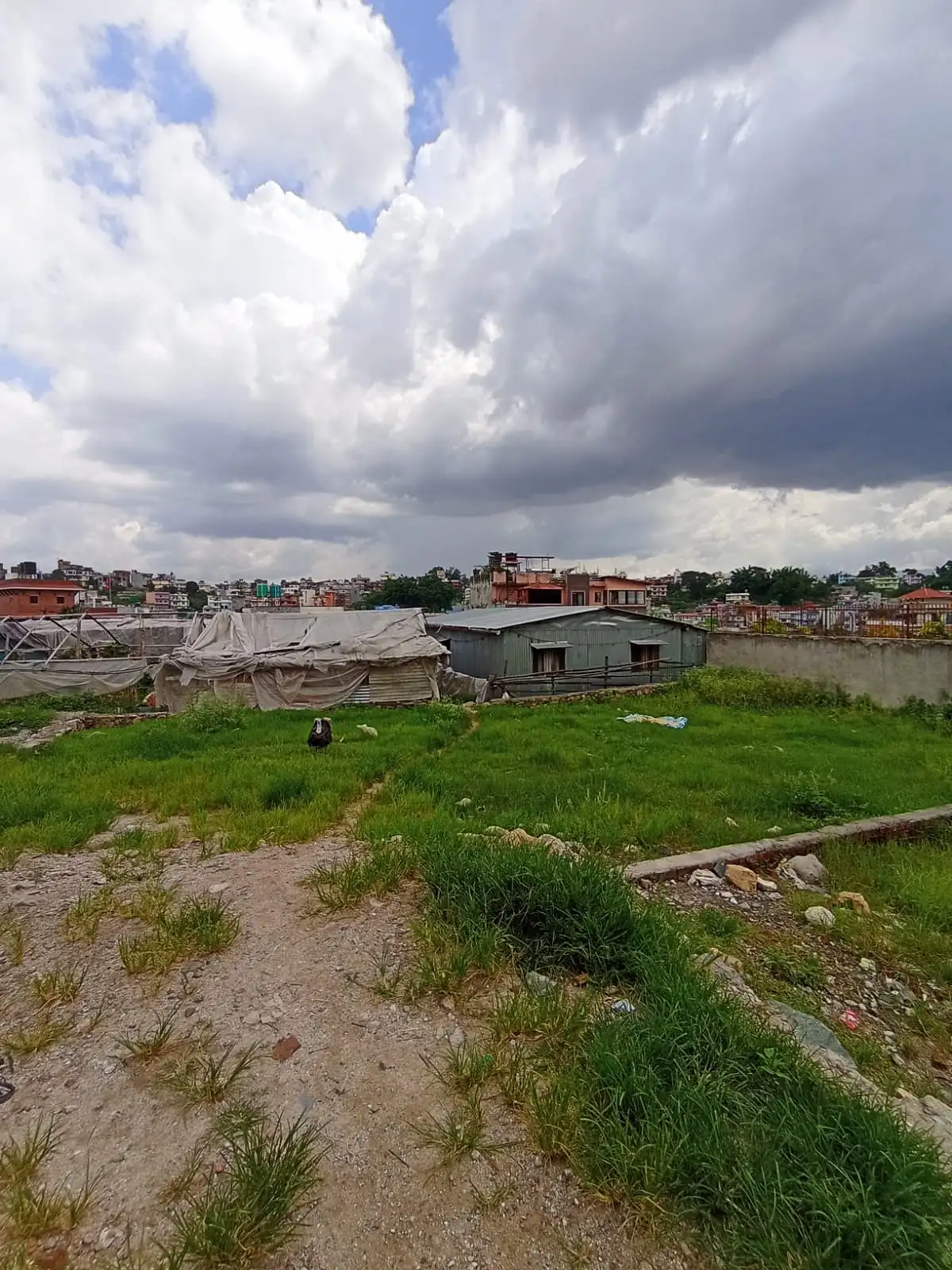 Land On Sale At  Budhanilkantha Image 1