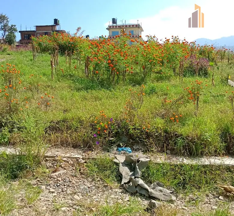 Land on Sale Image 3