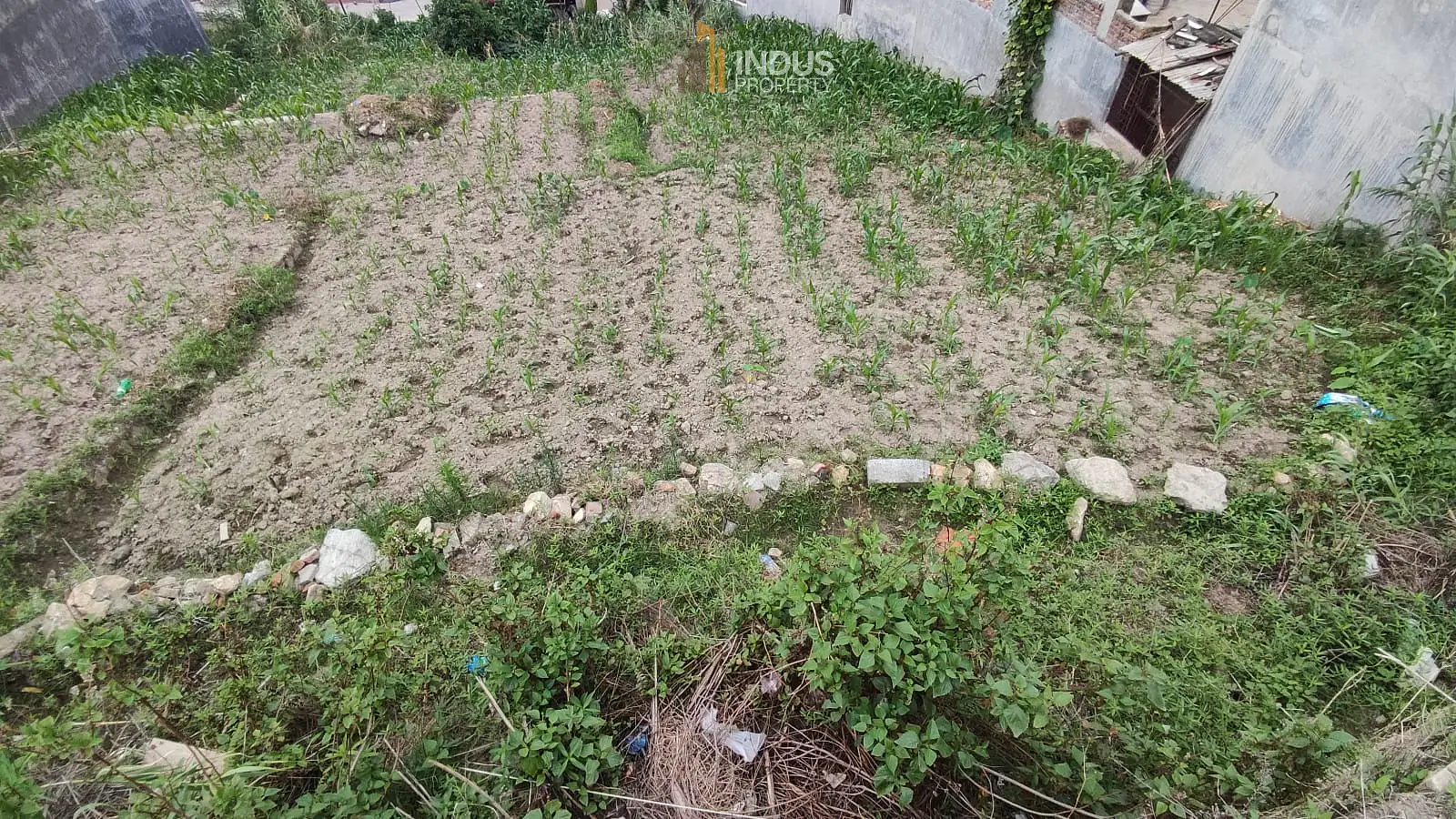 Land on sale at Imadol, ochu height Image 2
