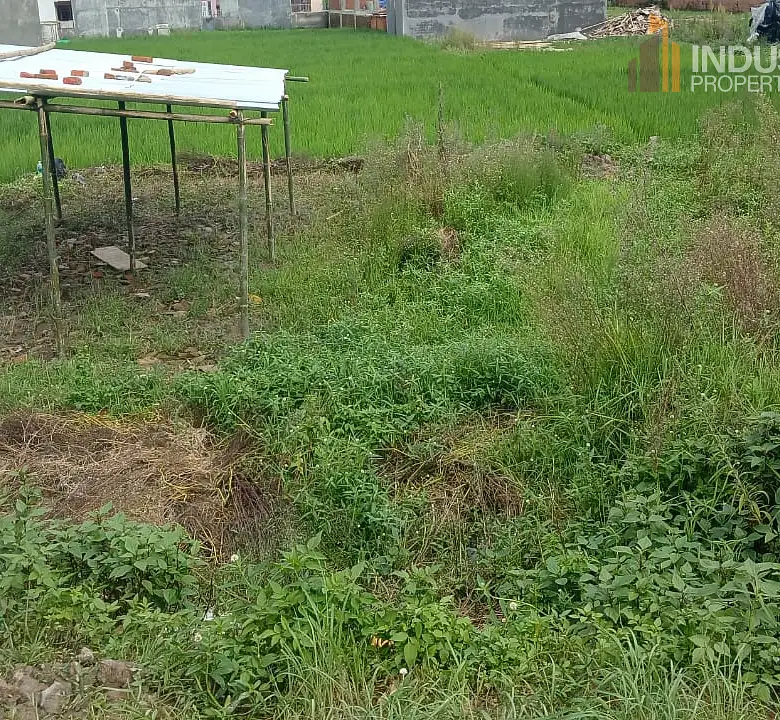 Land on Sale Image 4