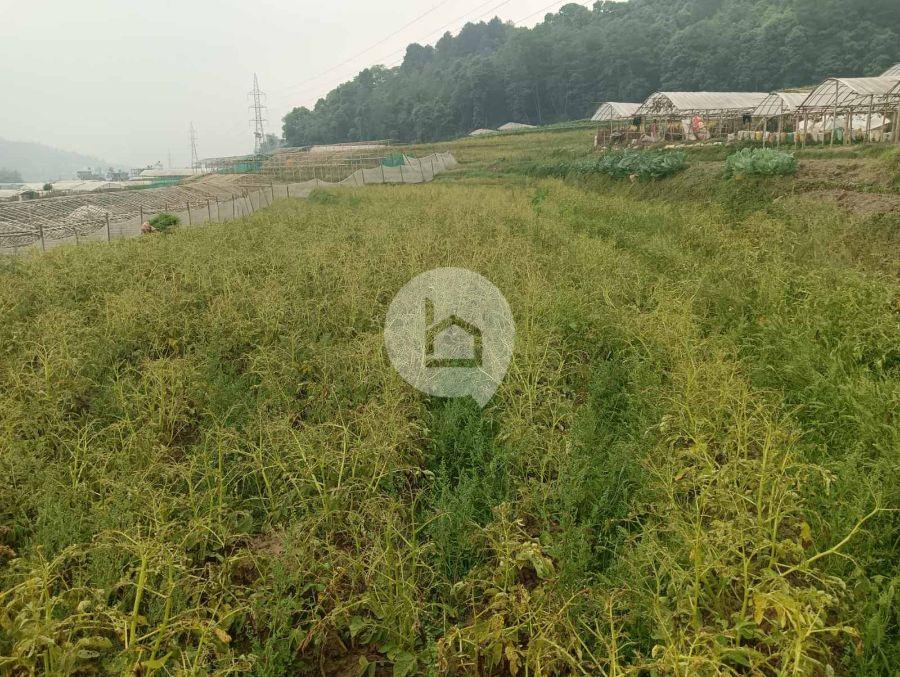 Land for Sale in Nala, Kavre Image 1