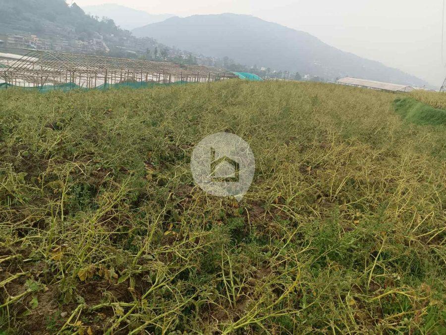 Land for Sale in Nala, Kavre Image 4
