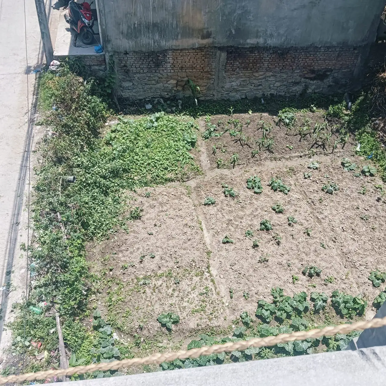 Land for sale in Manamaiju Image 1