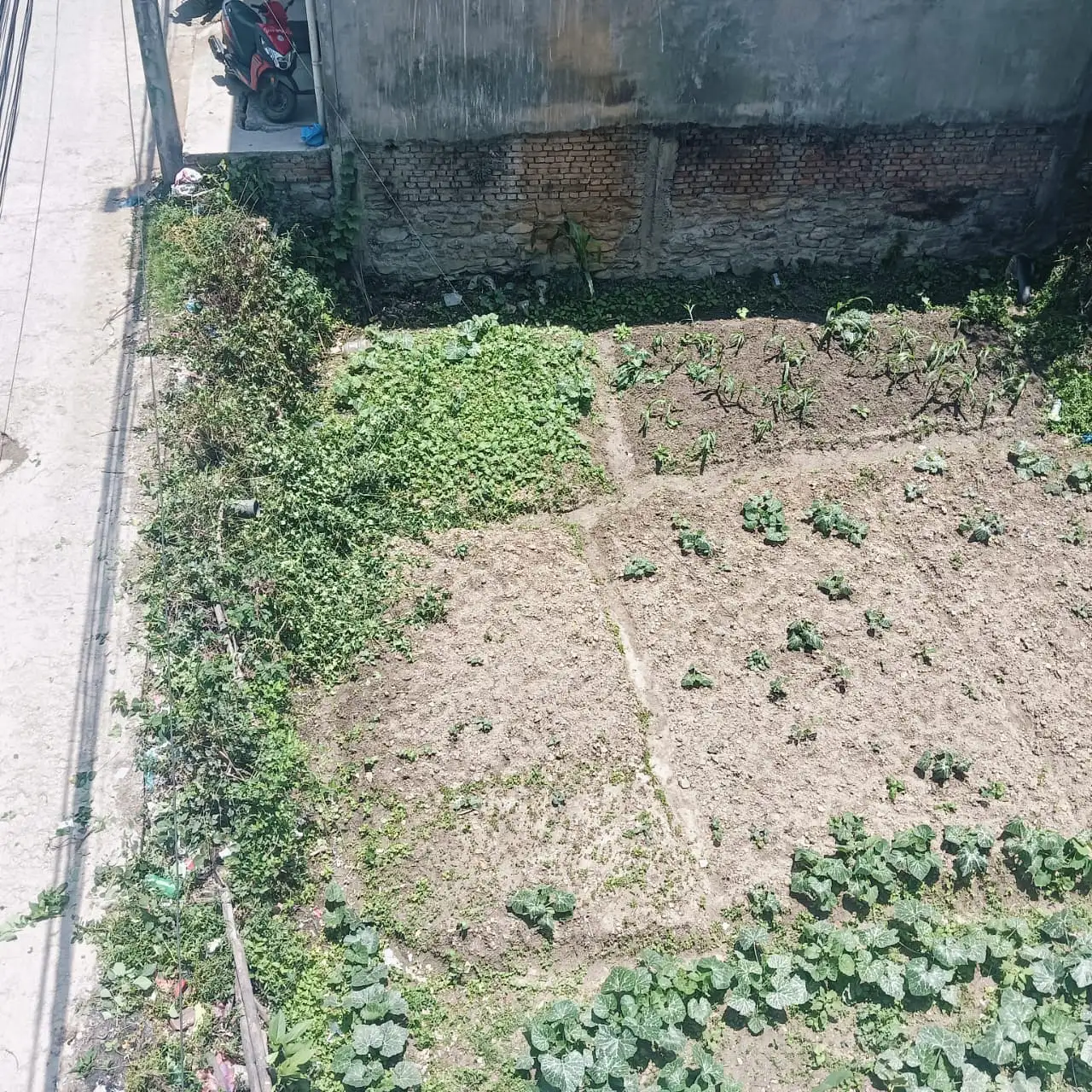 Land for sale in Manamaiju Image 3