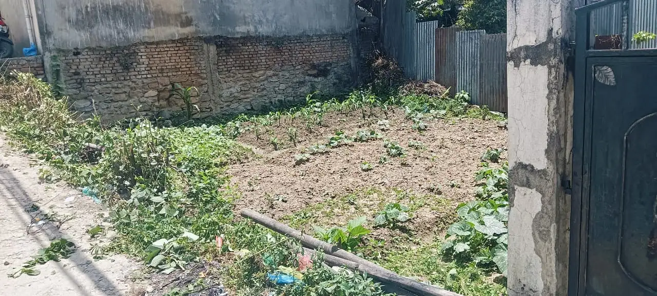 Land for sale in Manamaiju Image 4