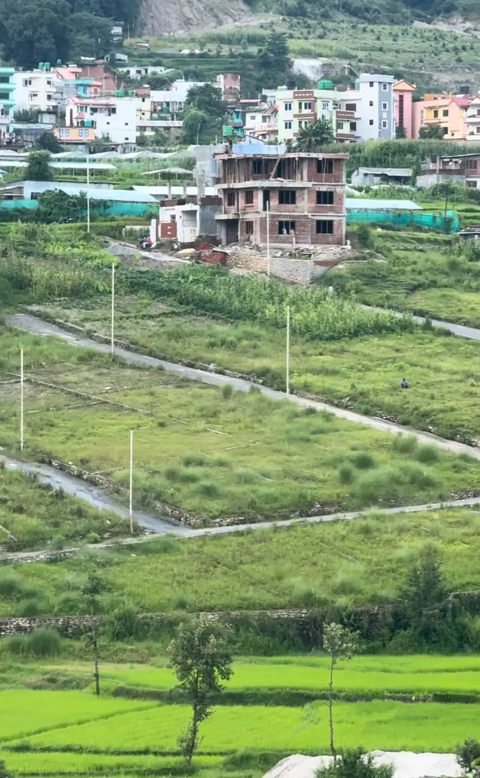 Residential Land On Sale Image 4