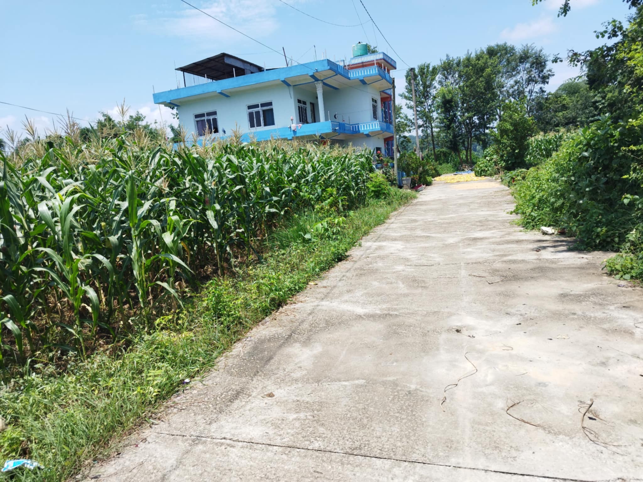 Land on Sale at Hetauda-11, Nawalpur Image 1