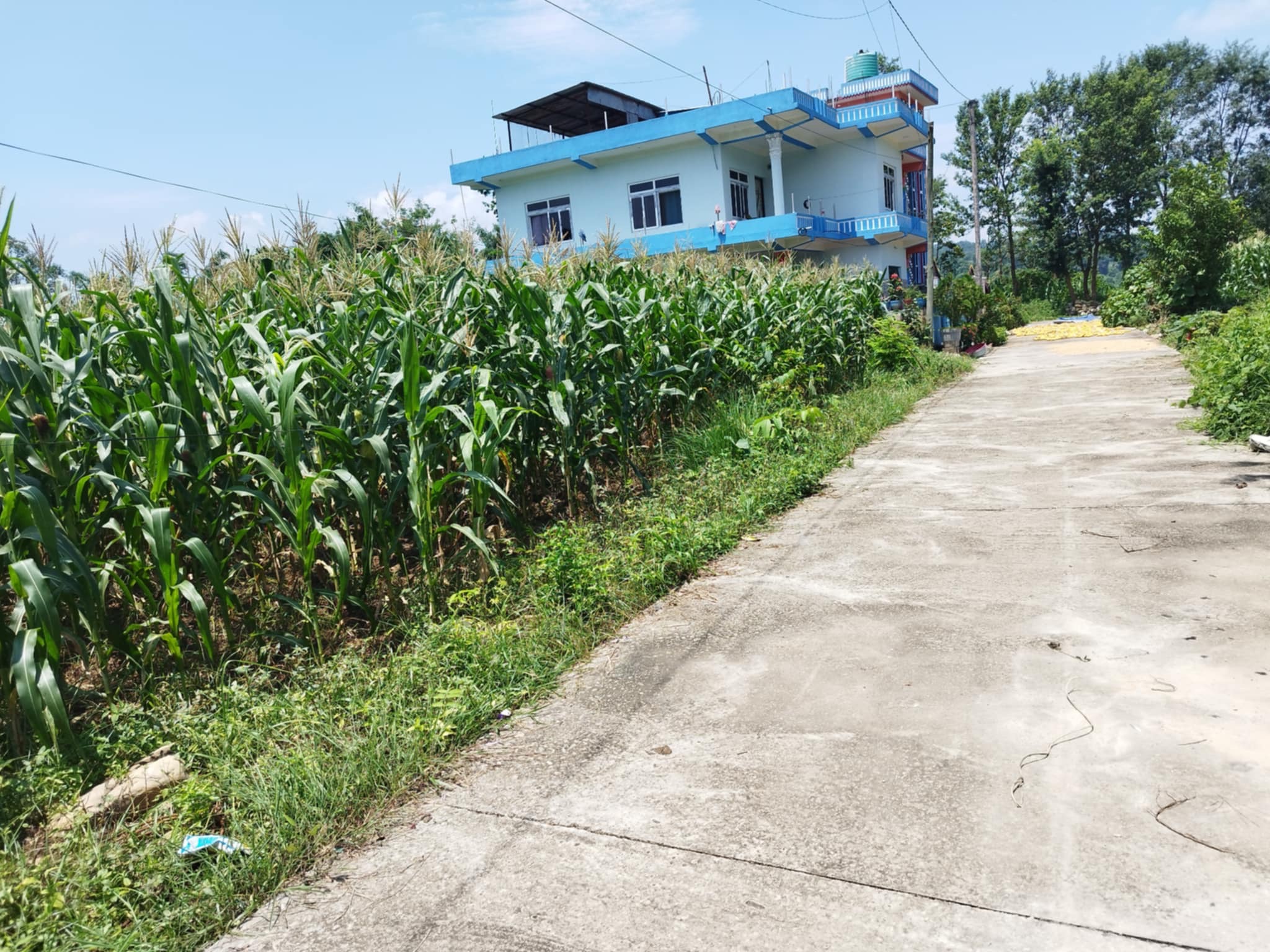 Land on Sale at Hetauda-11, Nawalpur Image 2
