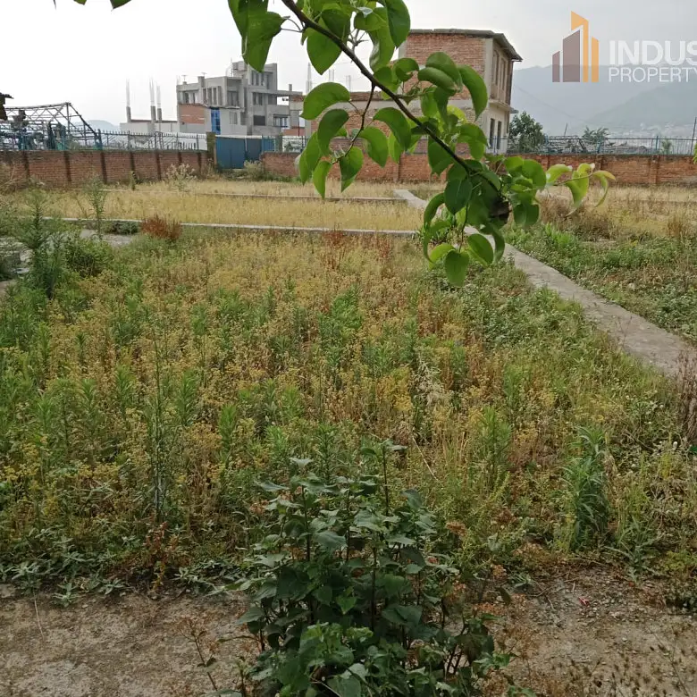 land on sale Image 4