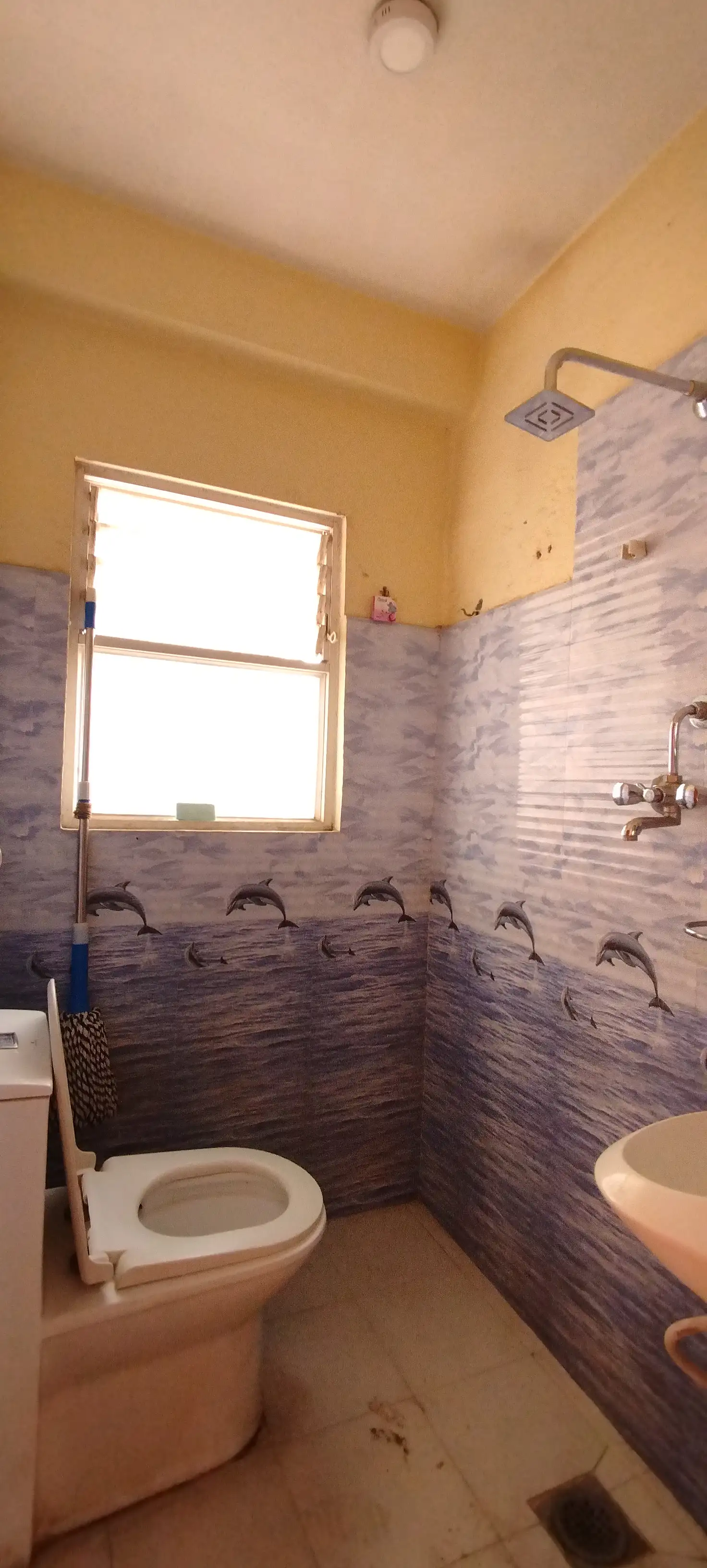 1BHK Flat for rent in sitapaila, padma colony Image 5