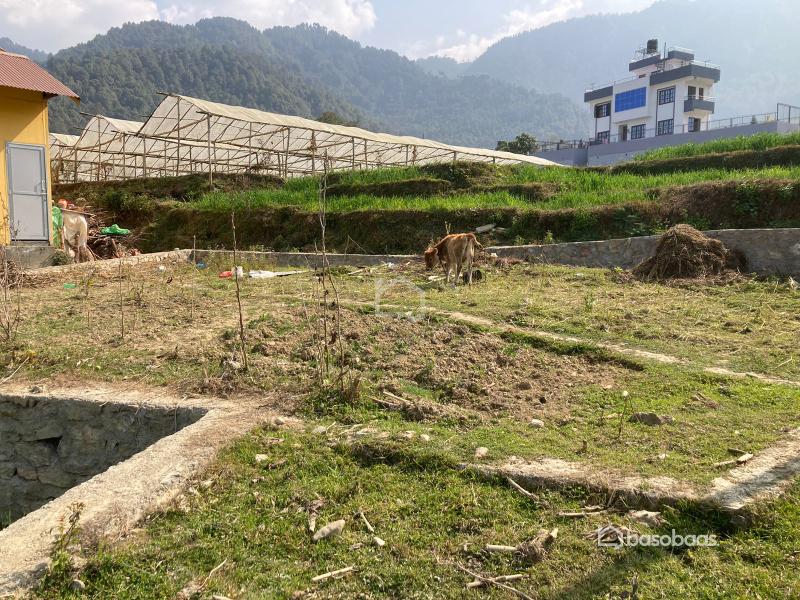 Land On Sale- Lamatar : Land for Sale in Lamatar, Lalitpur Thumbnail