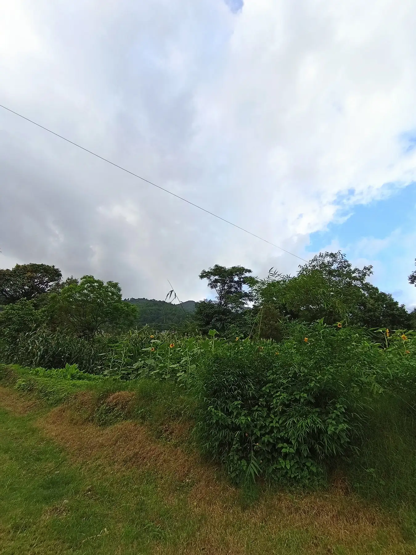 2.5 ropani land on sale at budhanilkantha Image 1