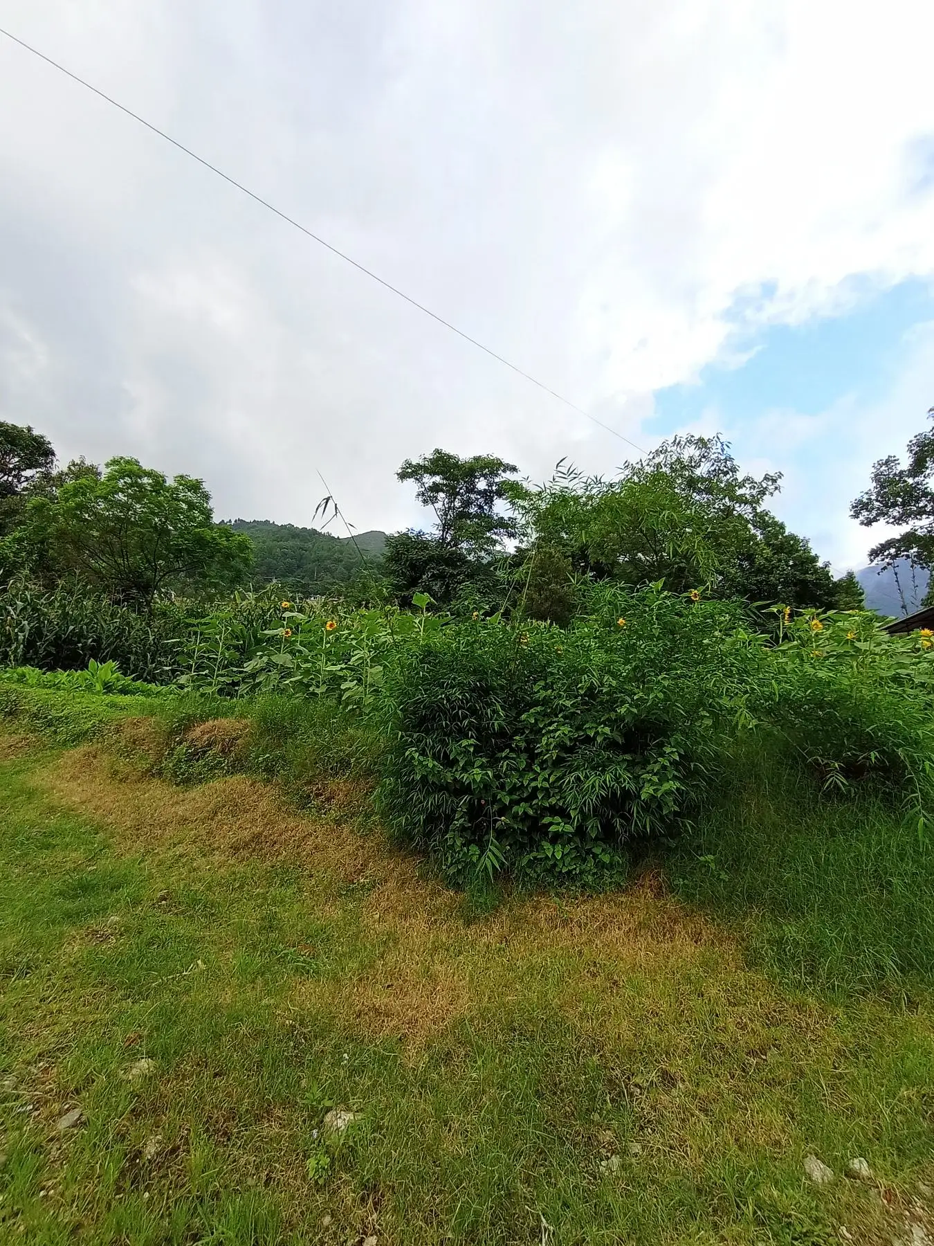 2.5 ropani land on sale at budhanilkantha Image 2