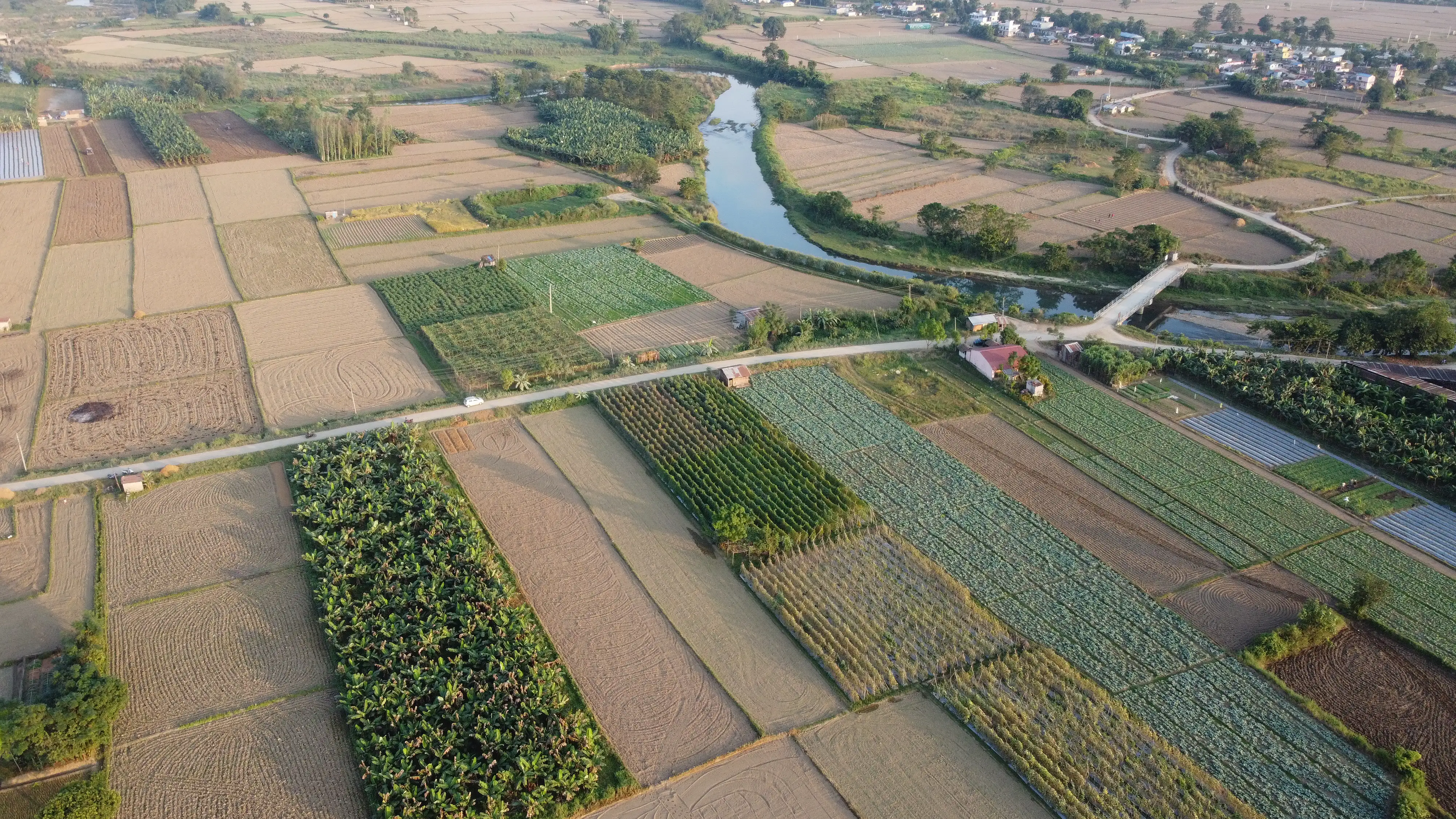 Land for Sale in Chitwan – Prime Investment Opportunity Image 1