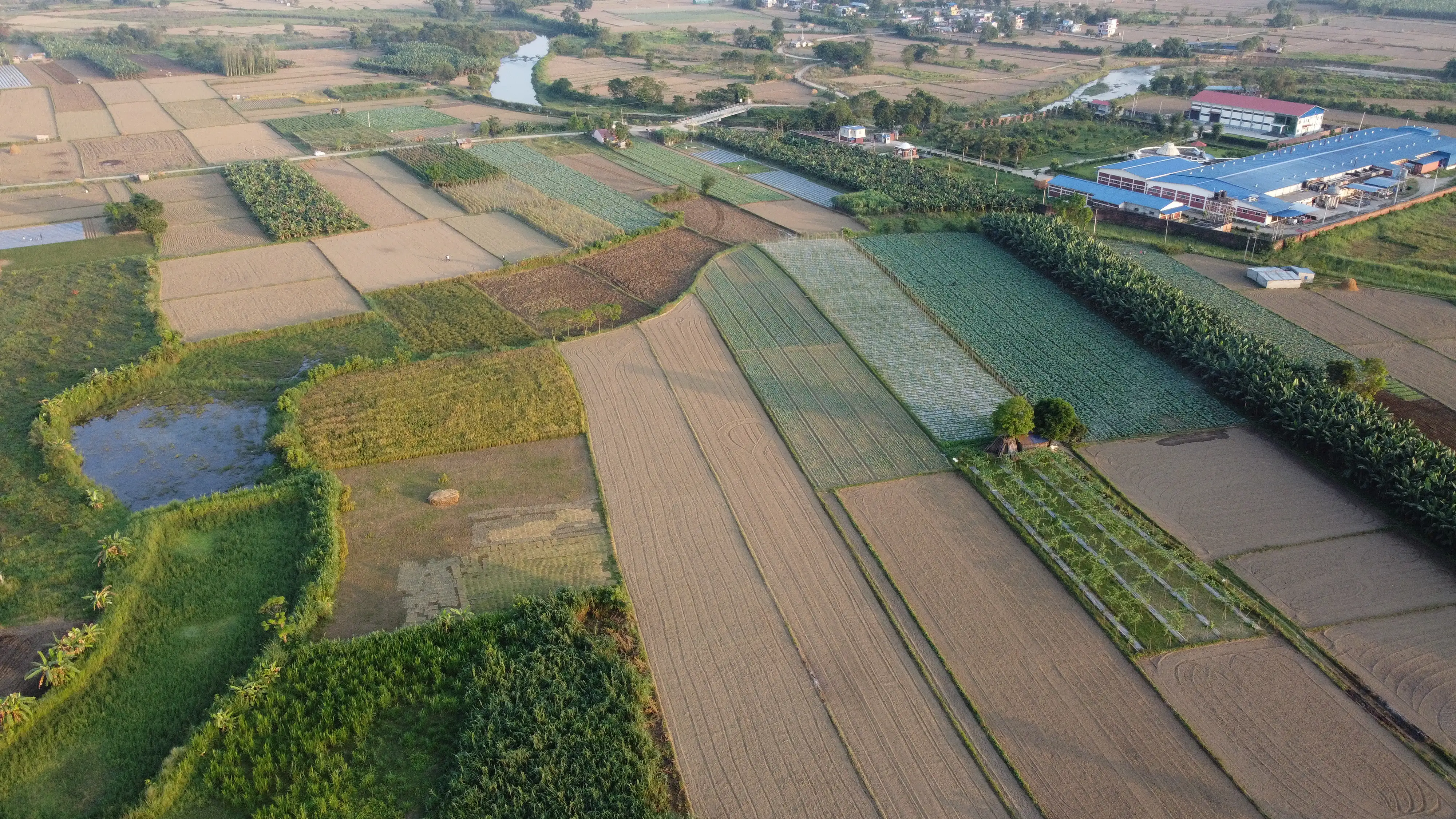 Land for Sale in Chitwan – Prime Investment Opportunity Image 2