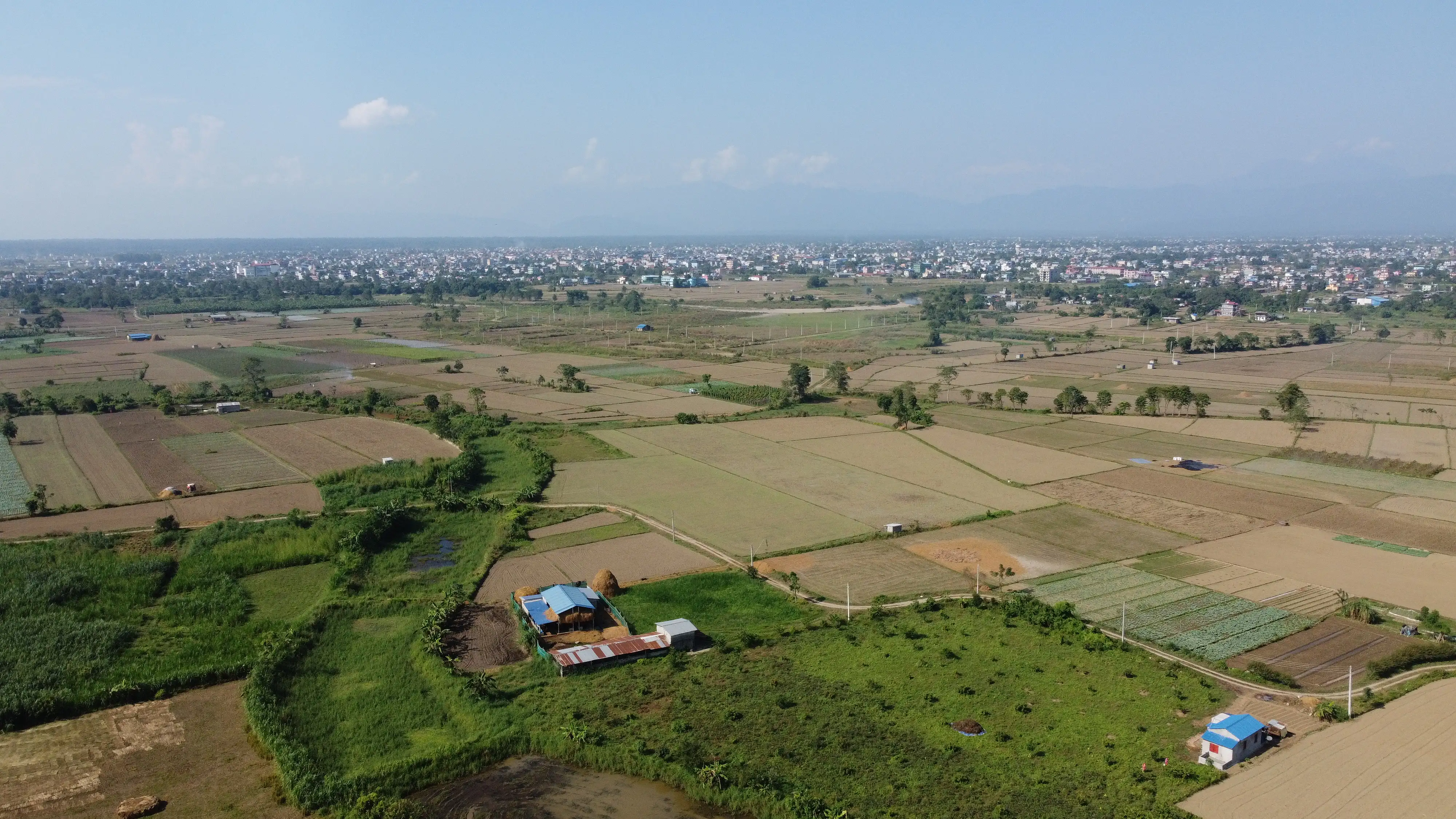 Land for Sale in Chitwan – Prime Investment Opportunity Image 4