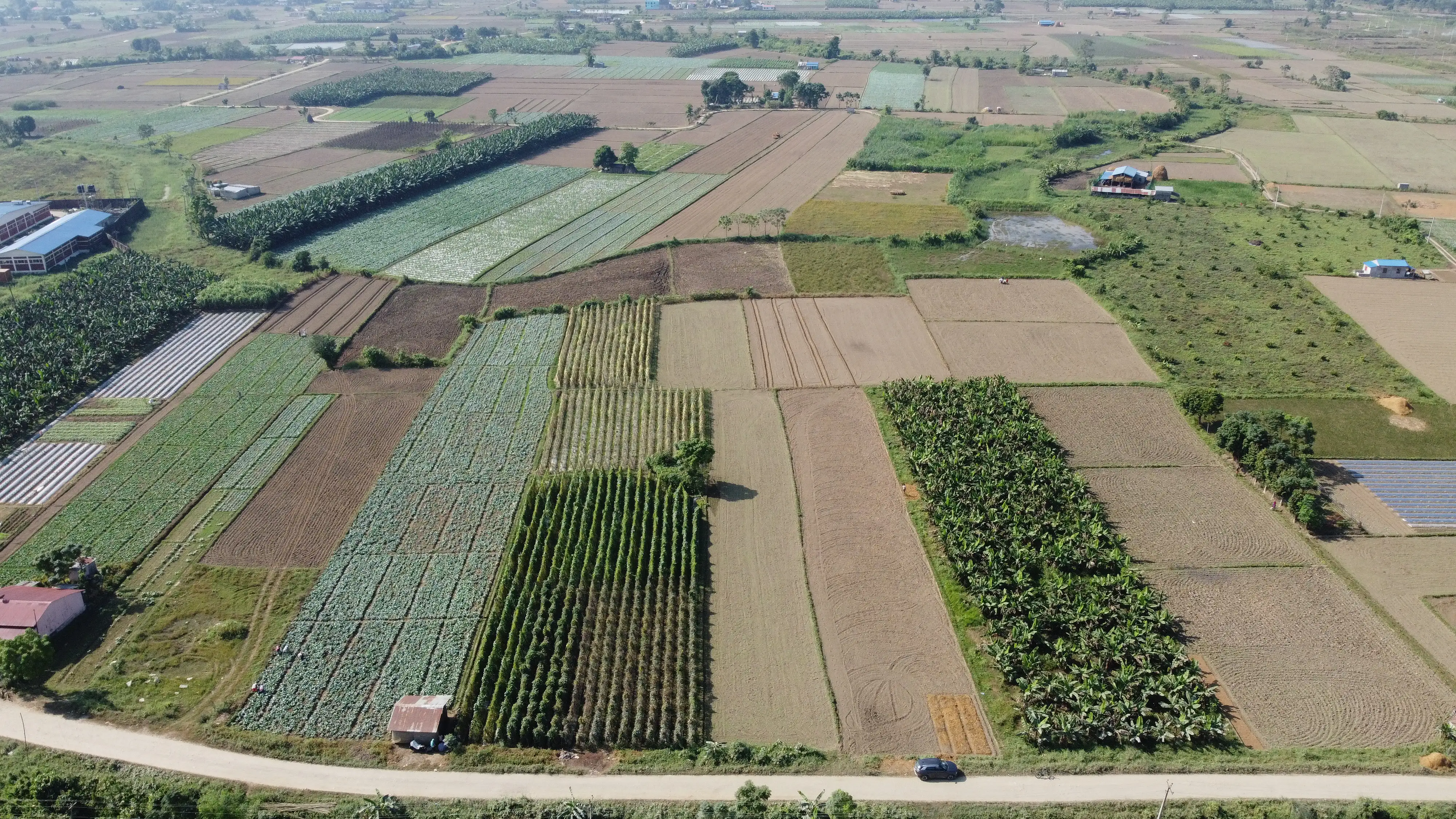 Land for Sale in Chitwan – Prime Investment Opportunity Image 5