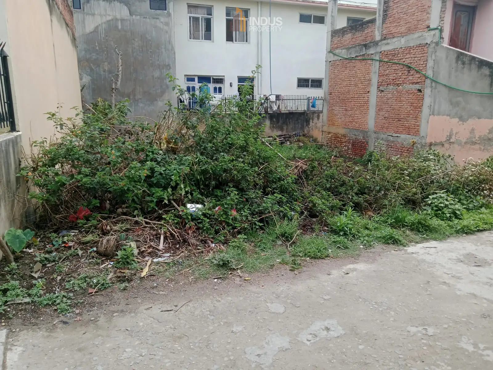 Land on sale at Naya basti, Imadol Image 2
