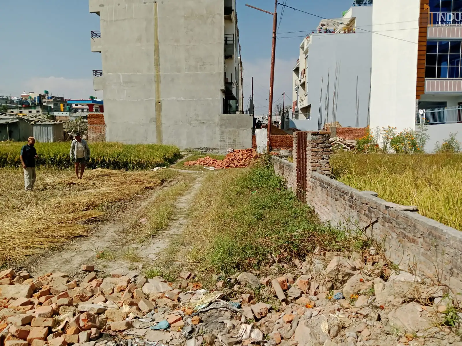Land on Sale Image 2