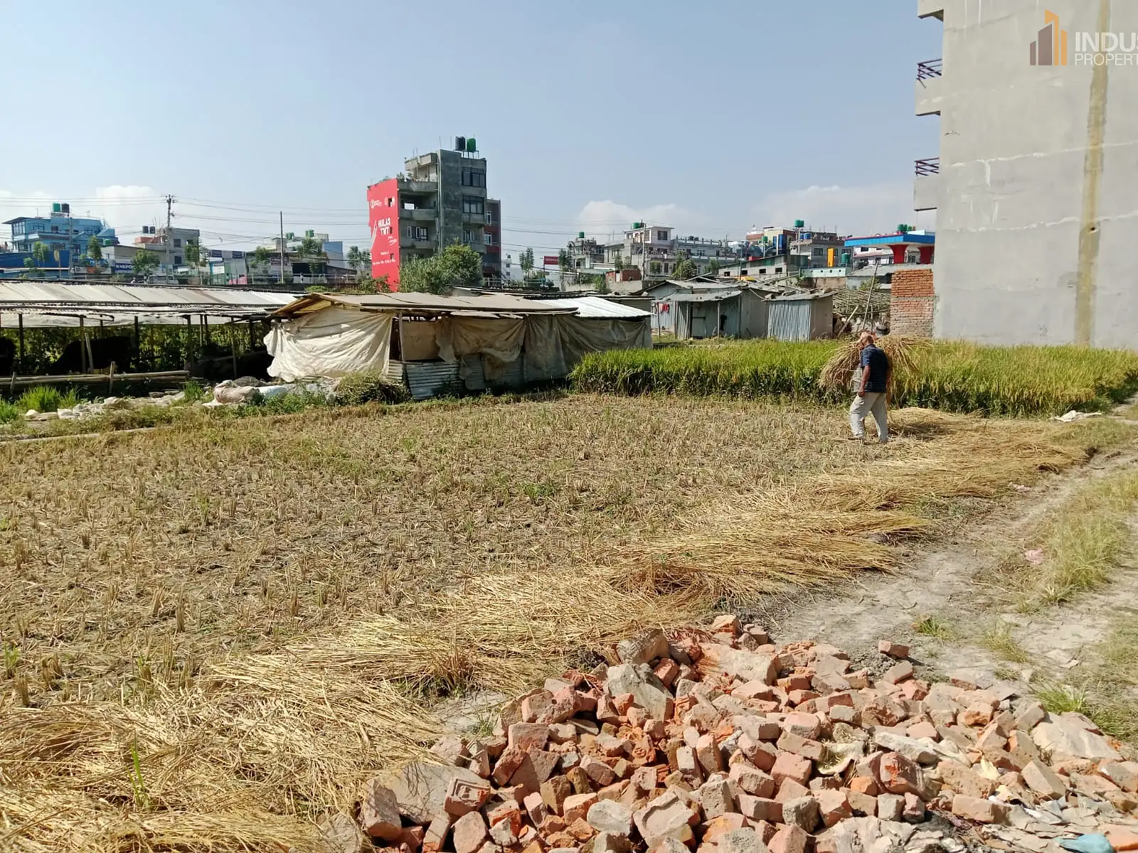 Land on Sale Image 1