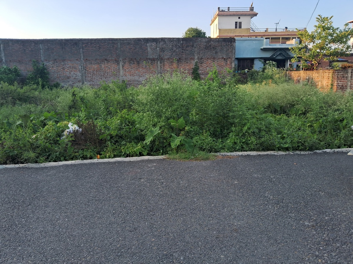 Biratnagar residential land in Kanchanbari  Image 3