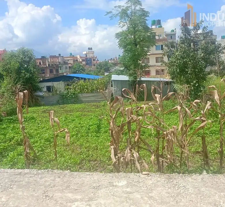 Land on Sale Image 3