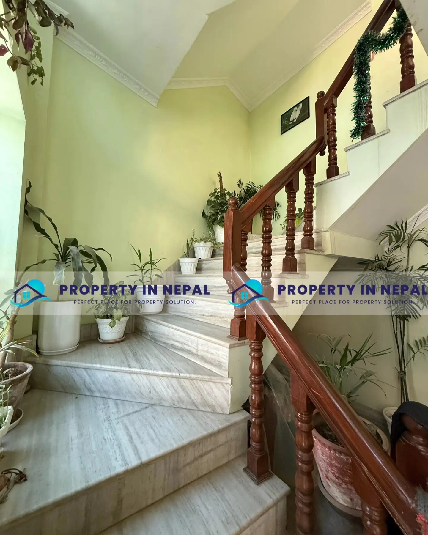 Residential House On Sale Image 4