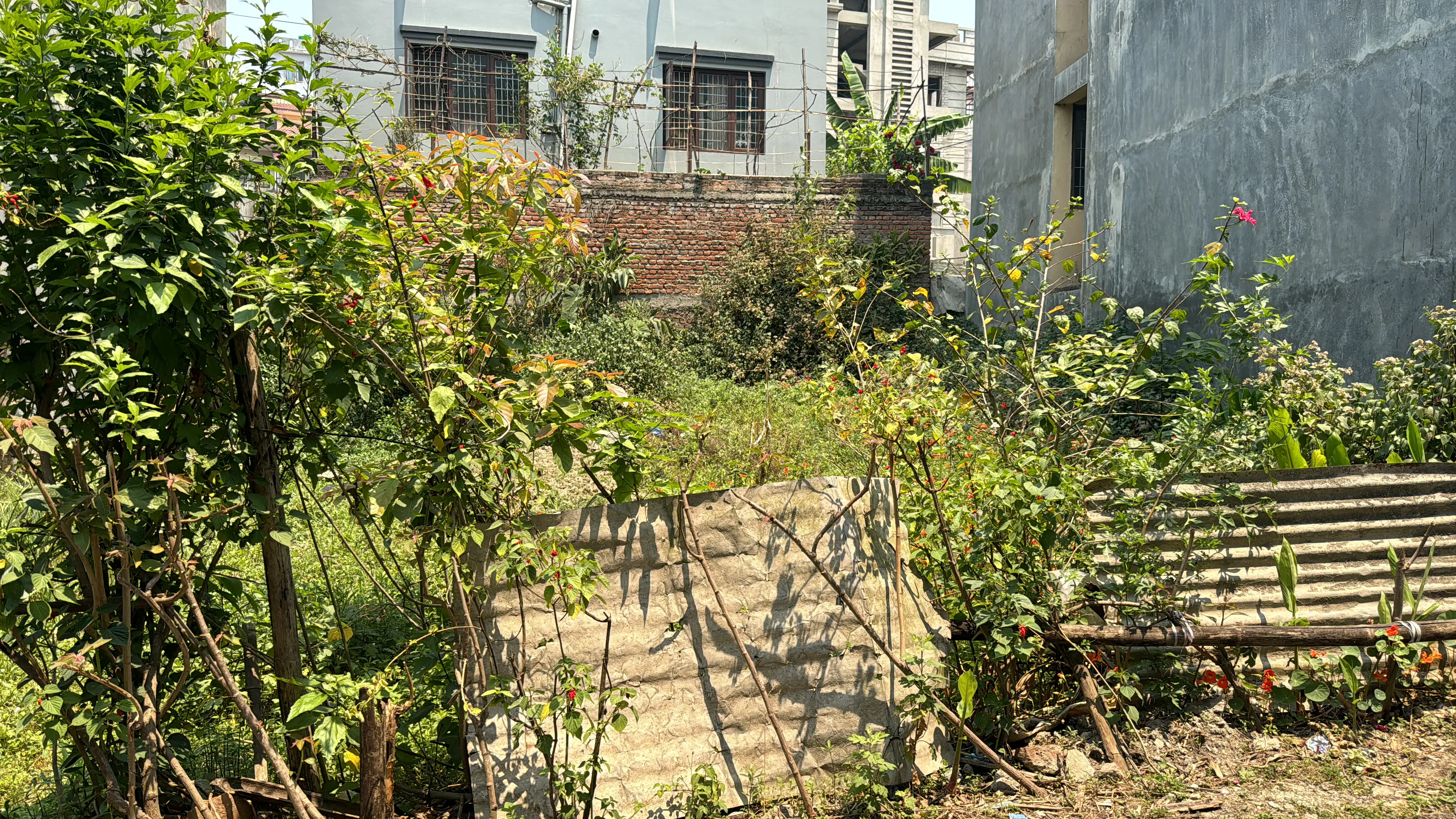 Residental Land On Sale At Syuchatar,Kalanki. Image 3