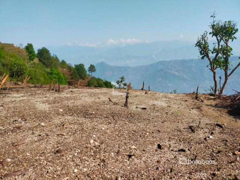 Land : Land for Sale in Budhanilkantha, Kathmandu Image 9