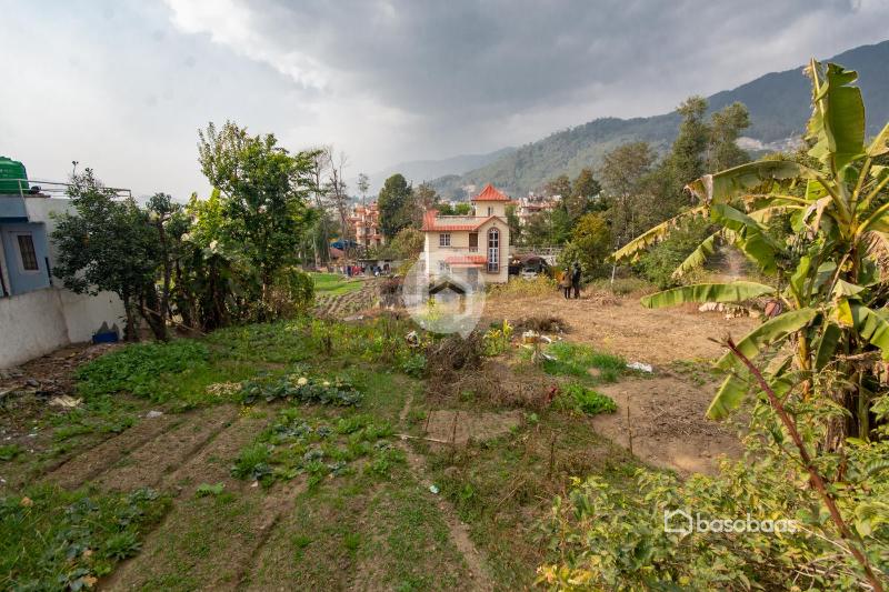 Land for rent : Land for Rent in Budhanilkantha, Kathmandu Image 5