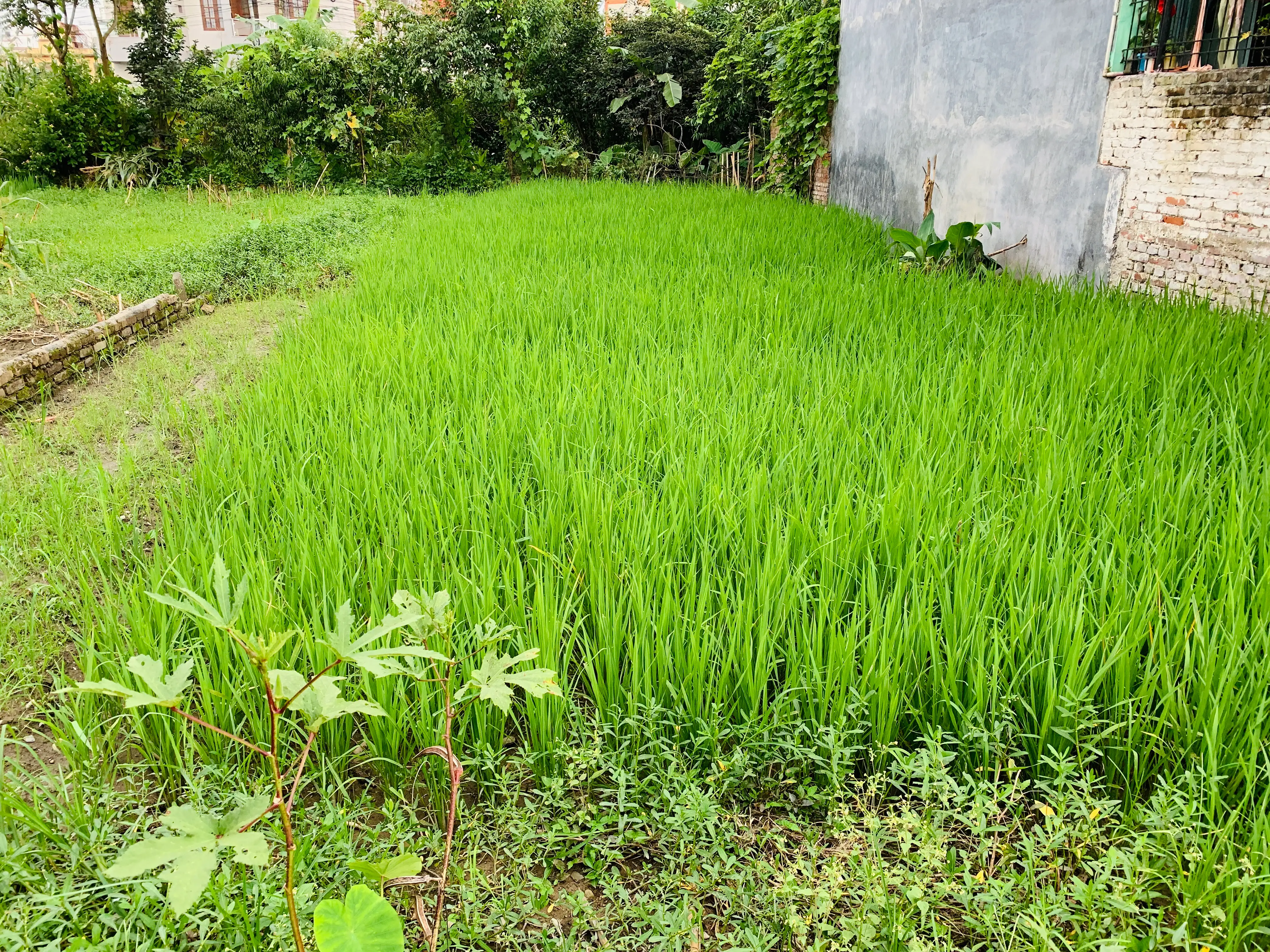 5 Aana land on sale at extremely low price in Bhaisepati, Lalitpur. Image 1