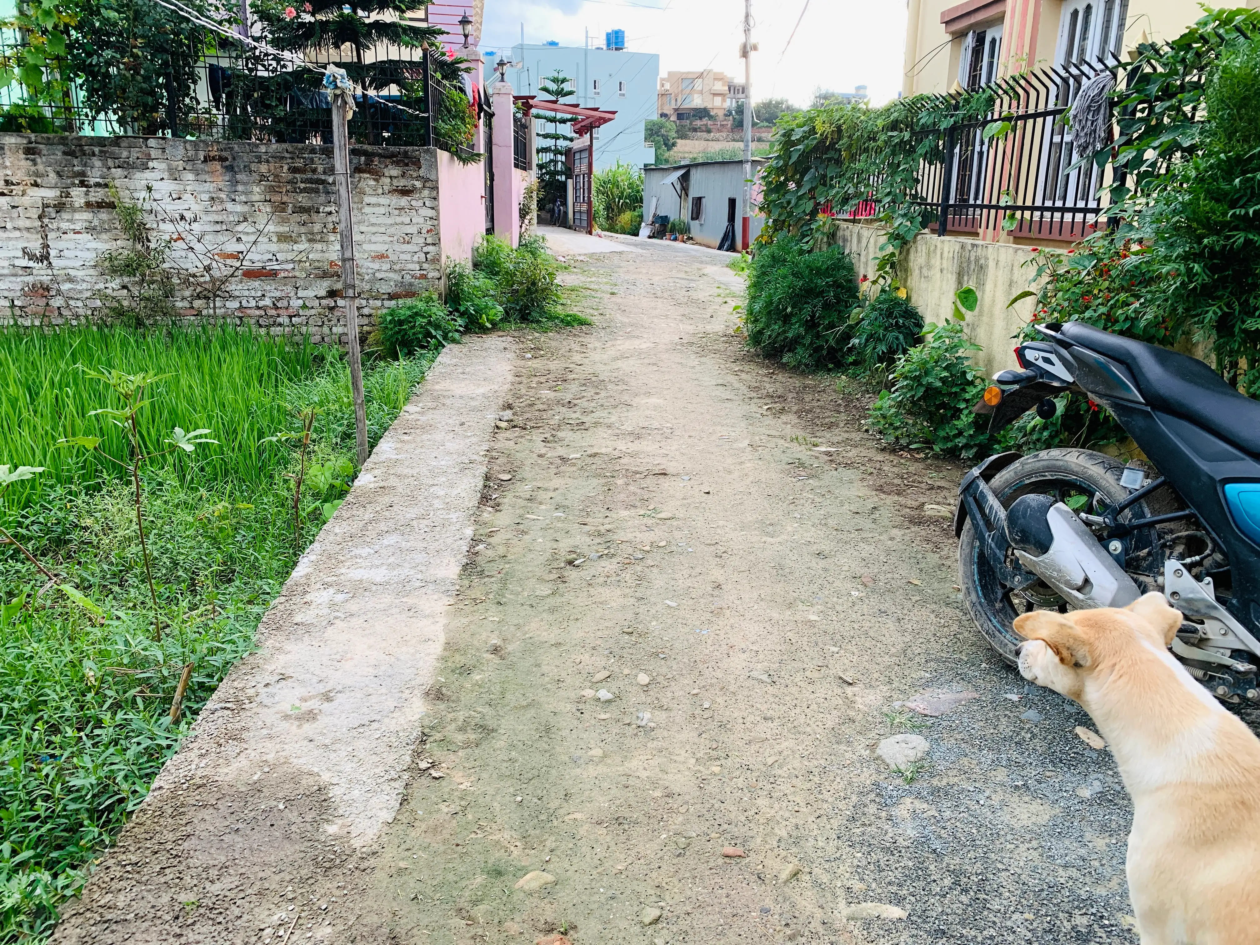 5 Aana land on sale at extremely low price in Bhaisepati, Lalitpur. Image 2