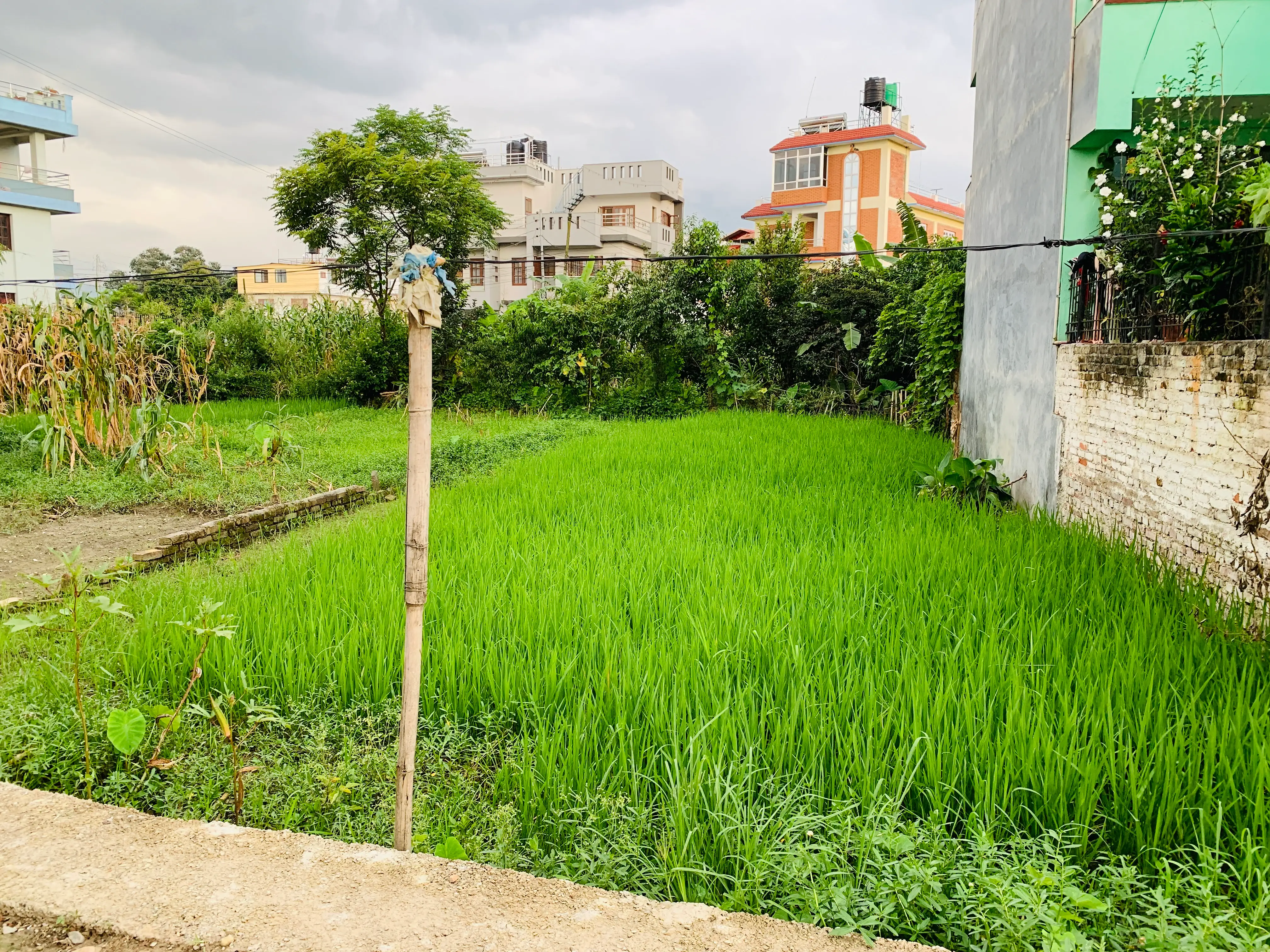 5 Aana land on sale at extremely low price in Bhaisepati, Lalitpur. Image 3