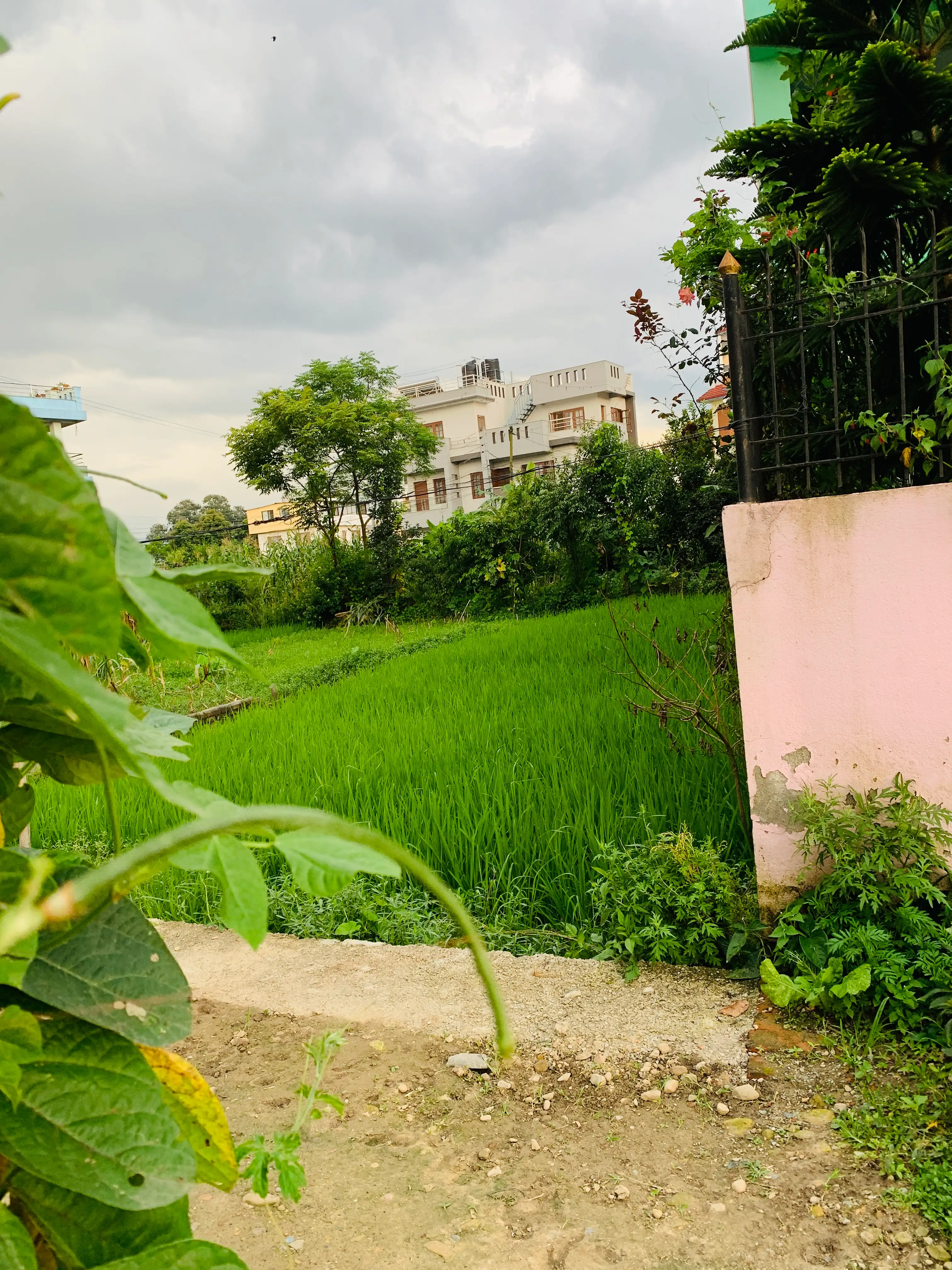 5 Aana land on sale at extremely low price in Bhaisepati, Lalitpur. Image 4