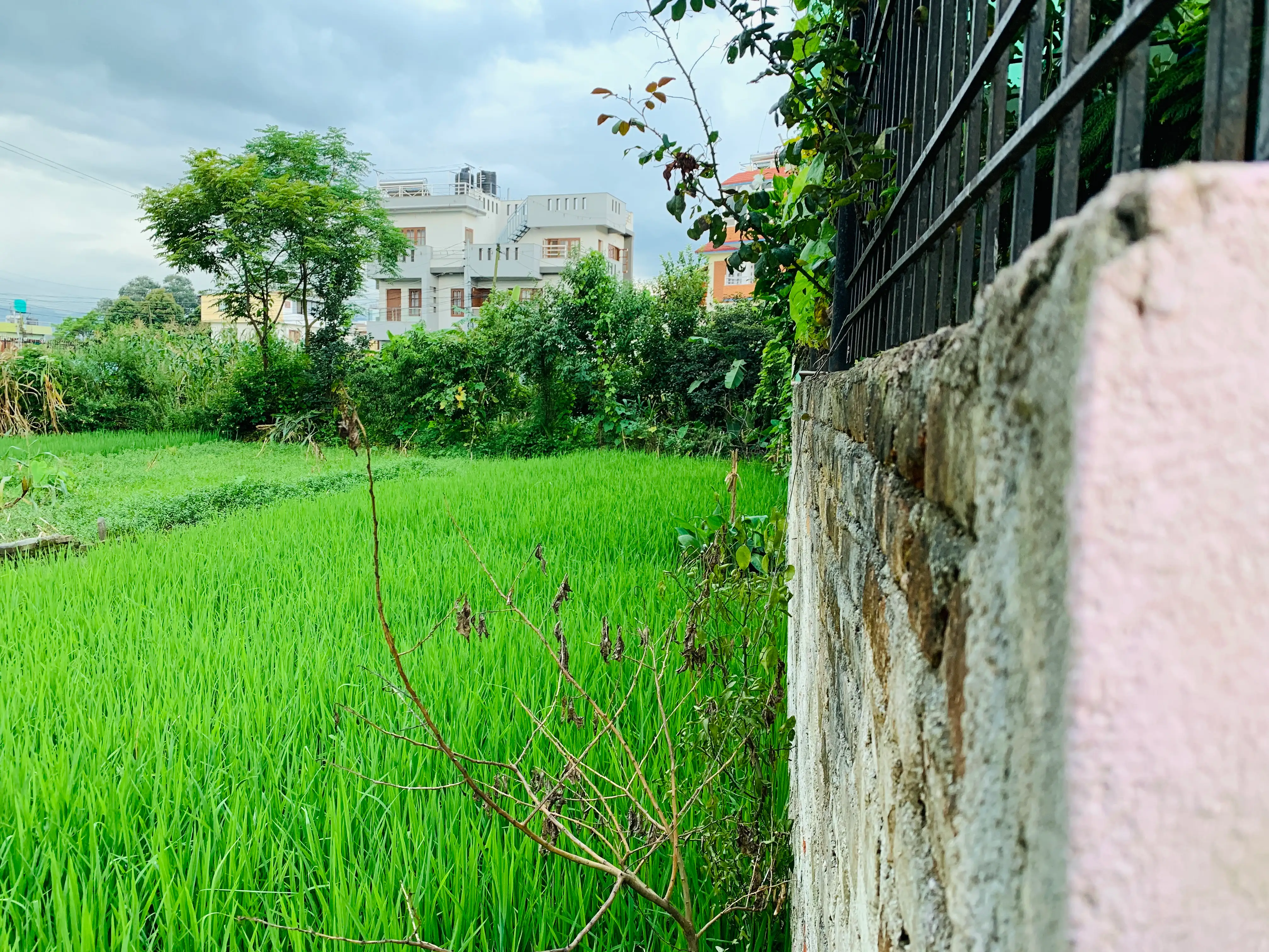 5 Aana land on sale at extremely low price in Bhaisepati, Lalitpur. Image 6