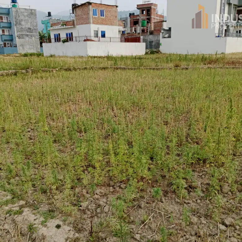 land on sale Thumbnail