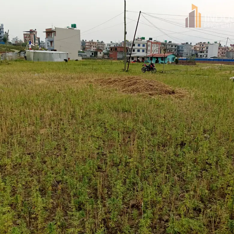 land on sale Image 3