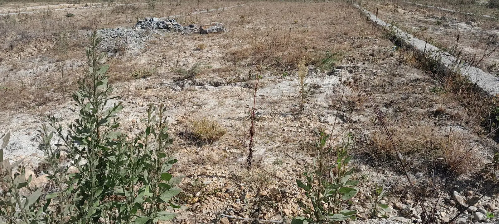 Residential Land On sale at Thecho, Lalitpur Image 6