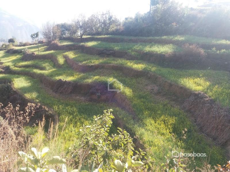 Land for sale in kathmandu : Land for Sale in Dakshinkali, Kathmandu Image 3
