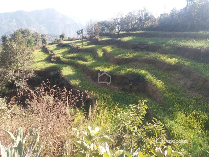Land for sale in kathmandu : Land for Sale in Dakshinkali, Kathmandu Image 1
