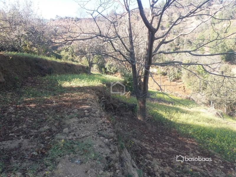 Land for sale in kathmandu : Land for Sale in Dakshinkali, Kathmandu Image 4