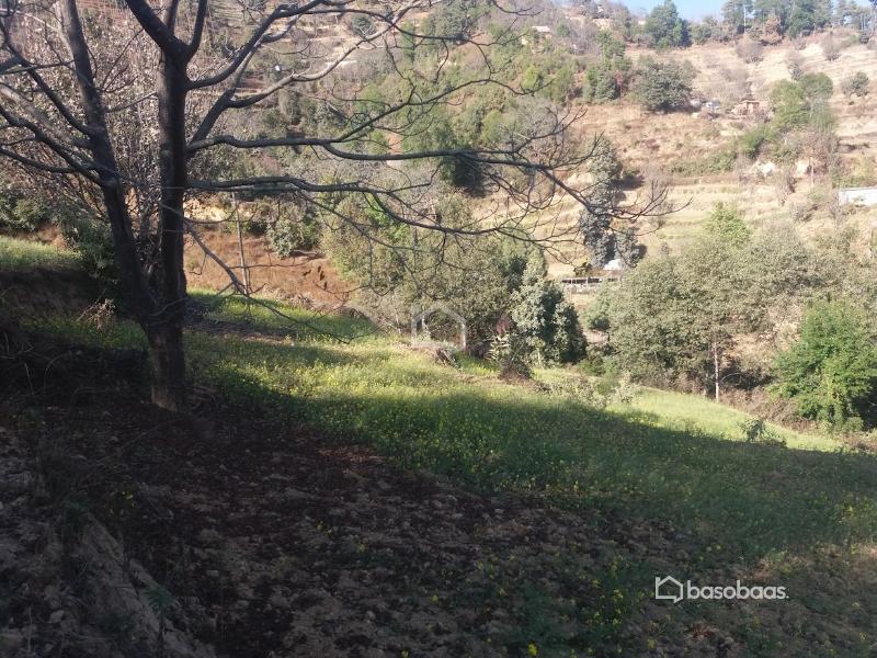 Land for sale in kathmandu : Land for Sale in Dakshinkali, Kathmandu Image 2