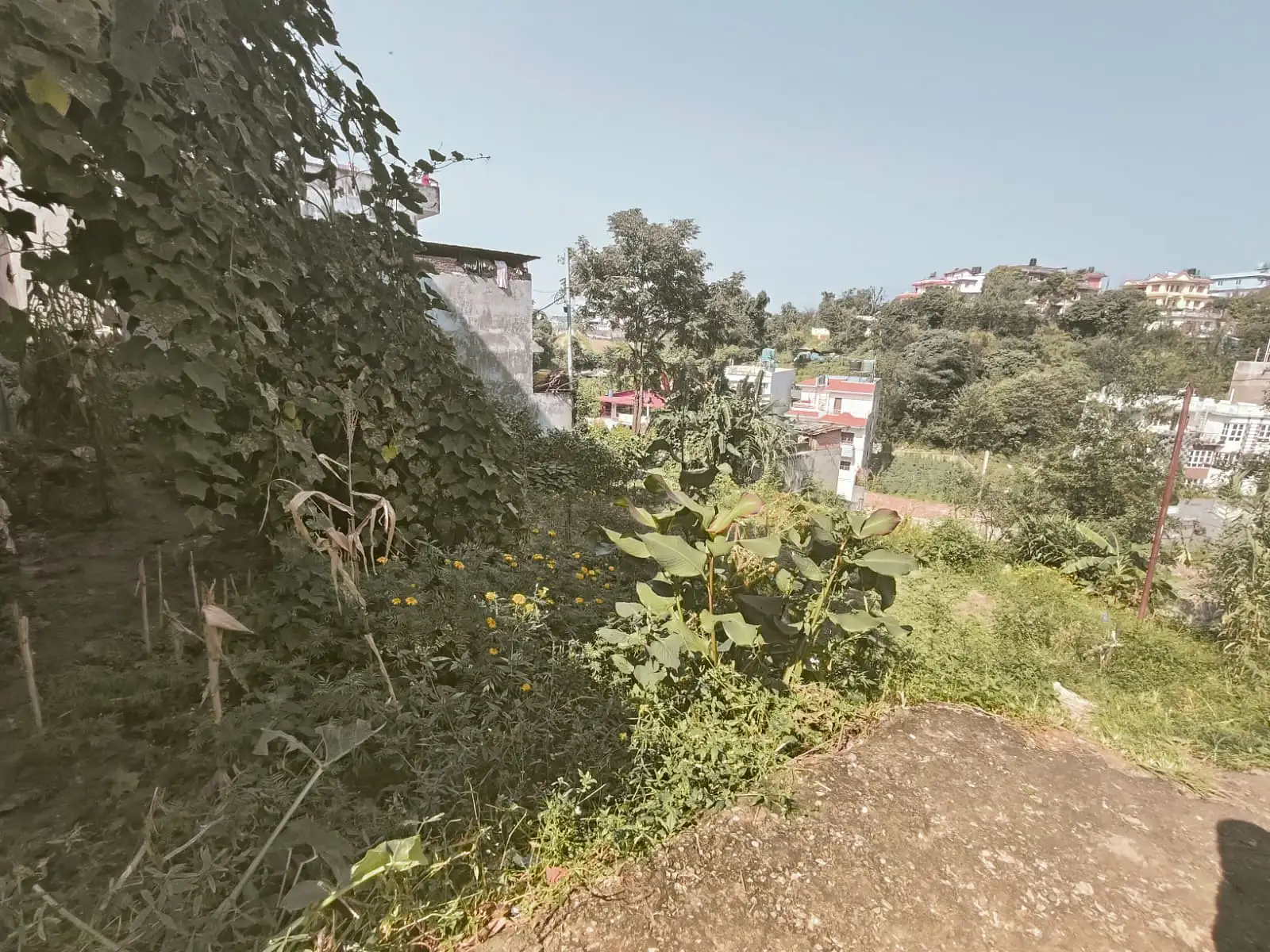 Residential Land On Sale Image 4