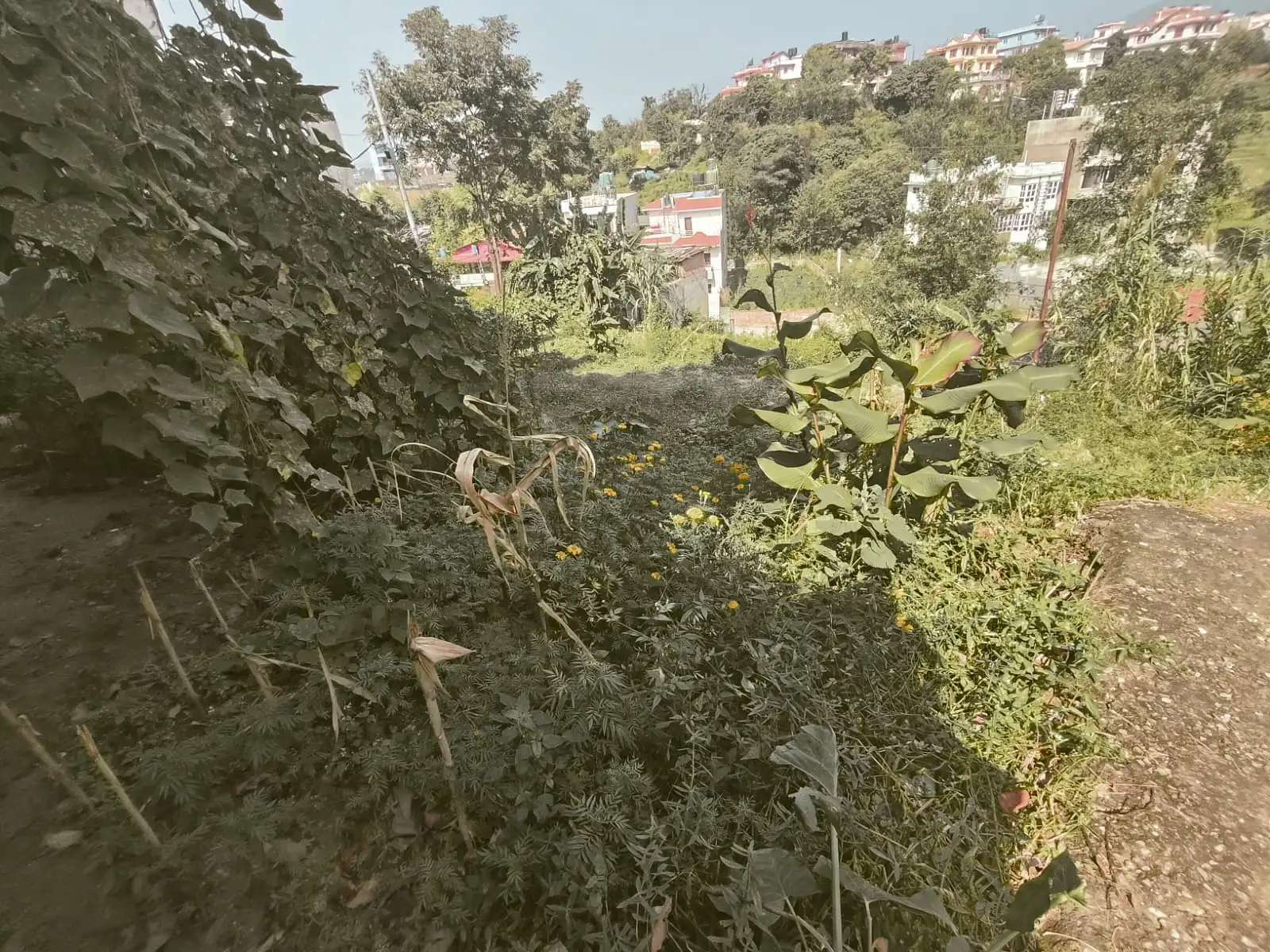 Residential Land On Sale Image 1