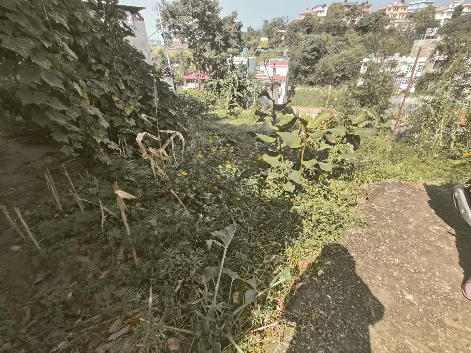 Residential Land On Sale Image 3