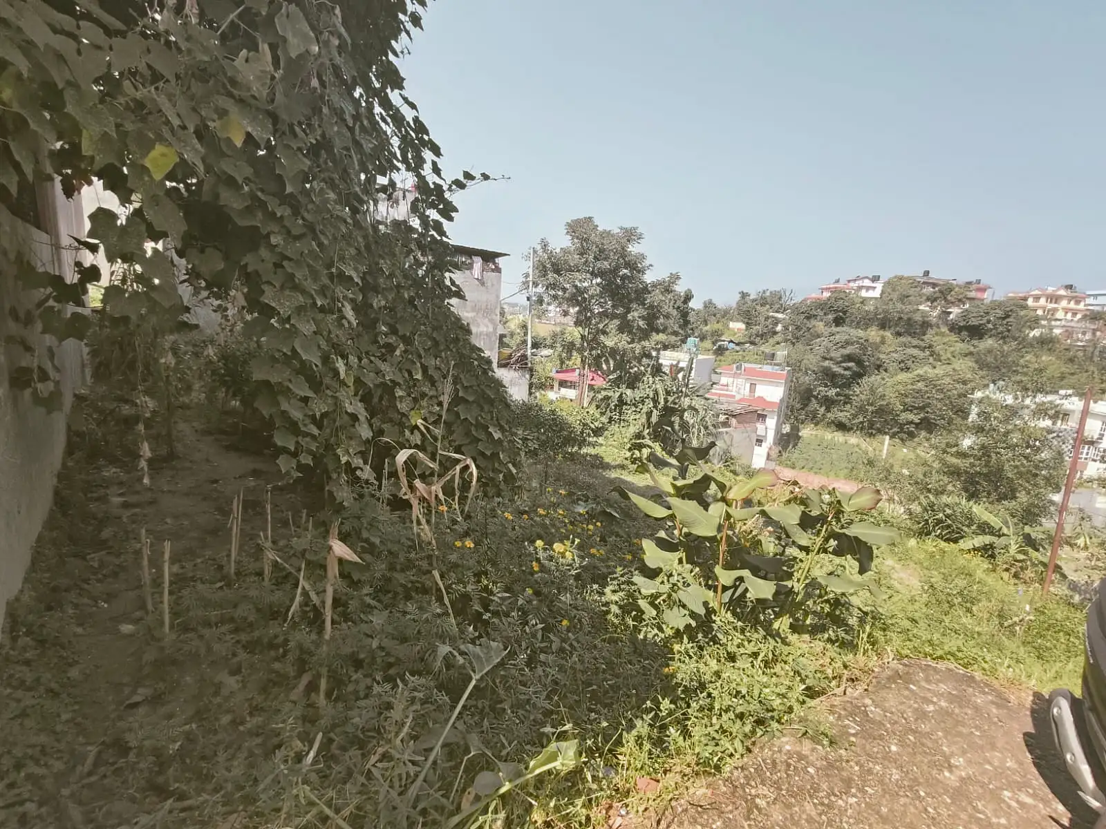 Residential Land On Sale Image 2